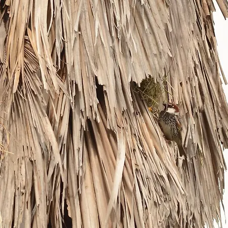 Quinta Dos Trevos - Artes E Oficios Gospodarstwo agroturystyczne