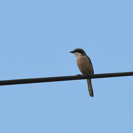 Quinta Dos Trevos - Artes E Oficios Κατάλυμα σε φάρμα *