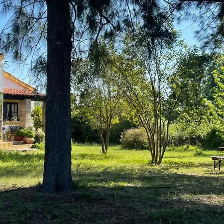 Quinta Dos Trevos - Artes E Ofícios