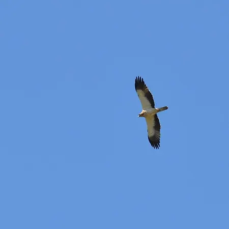 Quinta Dos Trevos - Artes E Oficios