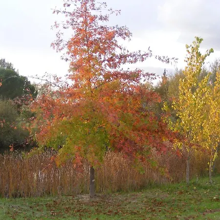 Gospodarstwo agroturystyczne Quinta Dos Trevos - Artes E Oficios Ladoeiro