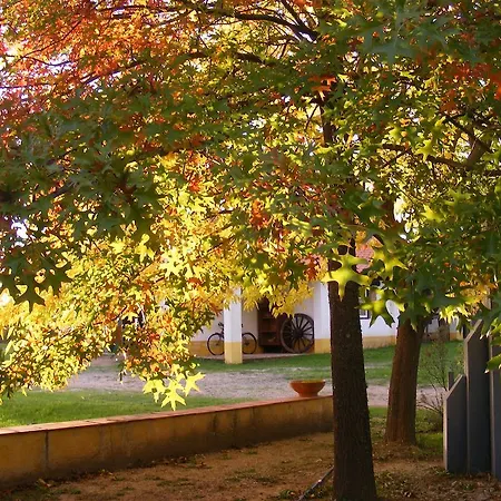 Quinta Dos Trevos - Artes E Oficios Ladoeiro