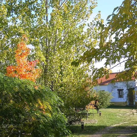 Feriegård Quinta Dos Trevos - Artes E Oficios