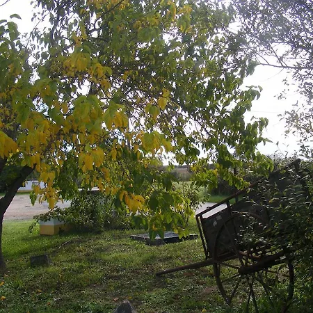 Quinta Dos Trevos - Artes E Oficios Ladoeiro
