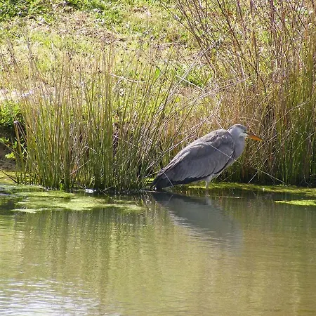 Quinta Dos Trevos - Artes E Oficios Ladoeiro