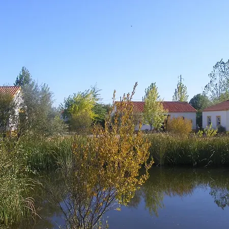 Alojamento de Turismo Rural Quinta Dos Trevos - Artes E Ofícios Ladoeiro
