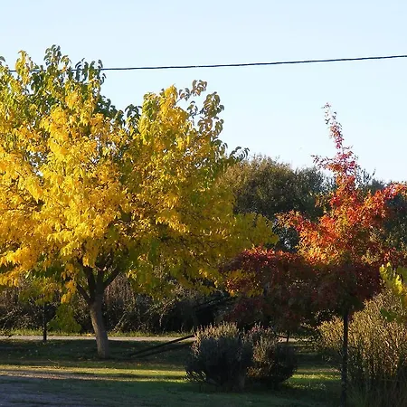 Gospodarstwo agroturystyczne Quinta Dos Trevos - Artes E Oficios