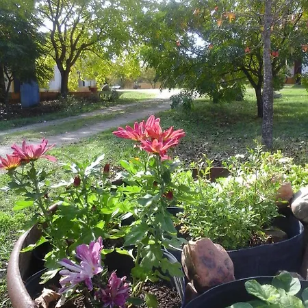 Gospodarstwo agroturystyczne Quinta Dos Trevos - Artes E Oficios *