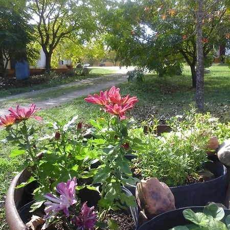 Alojamento de Turismo Rural Quinta Dos Trevos - Artes E Ofícios *