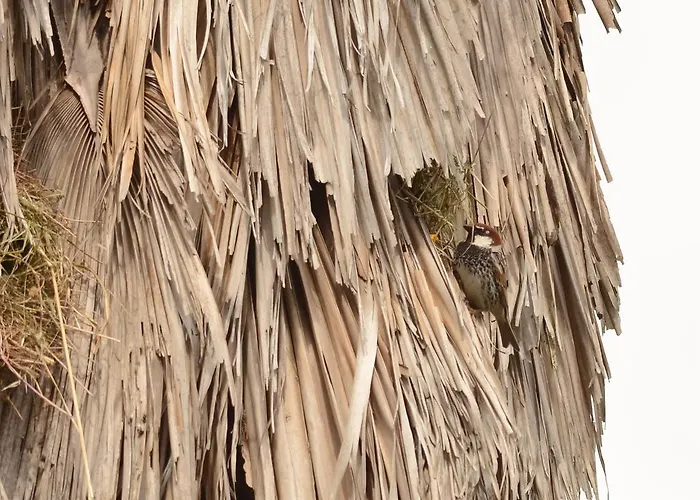 Quinta Dos Trevos - Artes E Oficios Farm stay