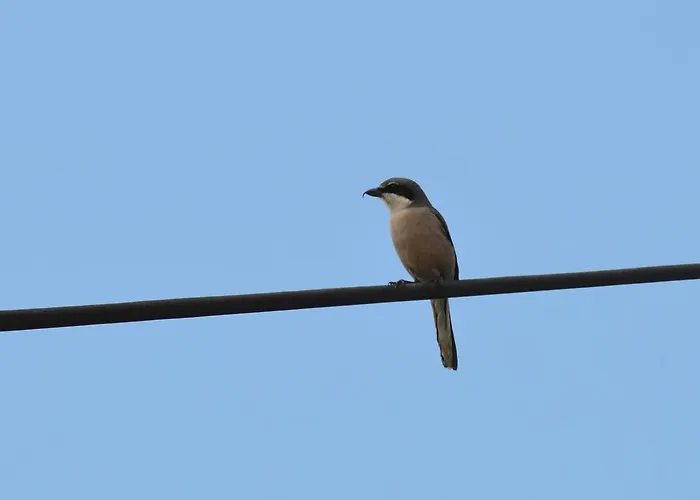 Quinta Dos Trevos - Artes E Oficios Farm stay *