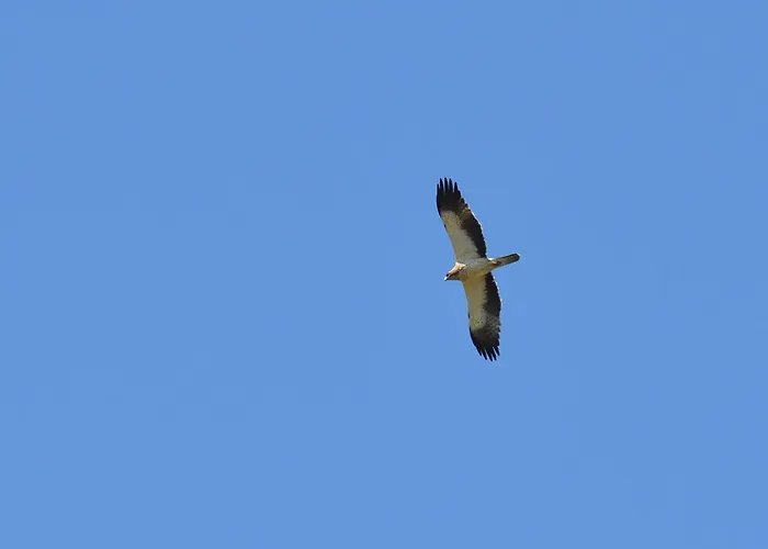 Quinta Dos Trevos - Artes E Oficios