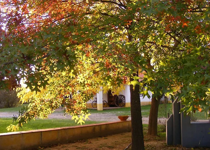 Quinta Dos Trevos - Artes E Oficios Ladoeiro