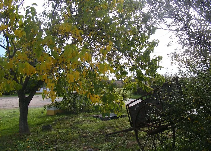 Quinta Dos Trevos - Artes E Oficios Ladoeiro