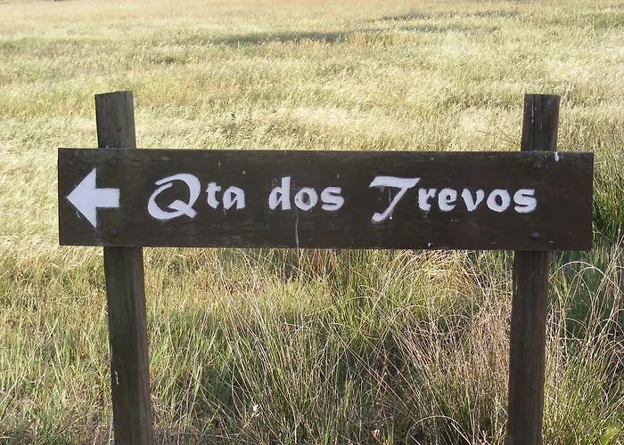 Gospodarstwo agroturystyczne Quinta Dos Trevos - Artes E Oficios