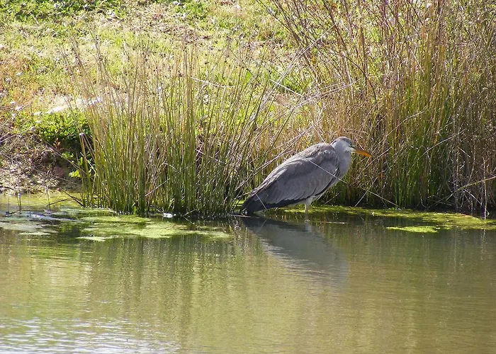 Quinta Dos Trevos - Artes E Oficios Ladoeiro