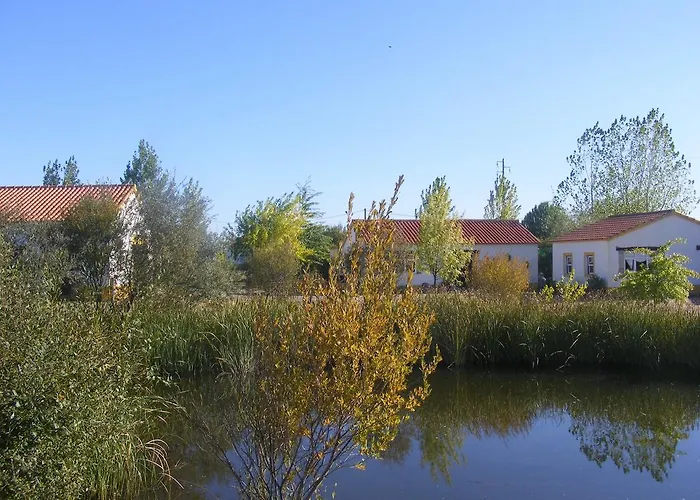 Gospodarstwo agroturystyczne Quinta Dos Trevos - Artes E Oficios Ladoeiro