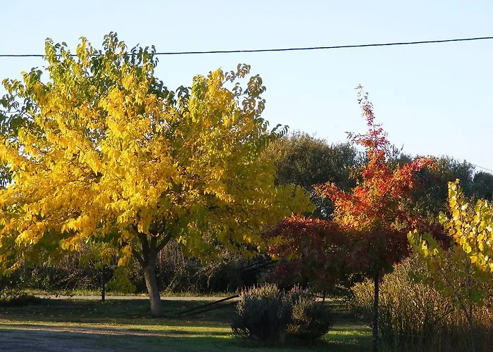 Farm stay Quinta Dos Trevos - Artes E Oficios