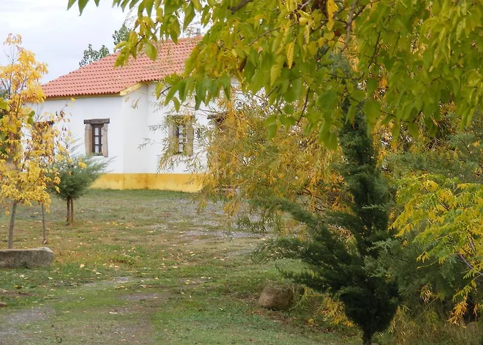 Farm stay Quinta Dos Trevos - Artes E Oficios Ladoeiro