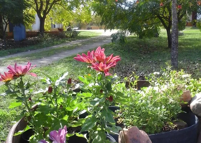 Farm stay Quinta Dos Trevos - Artes E Oficios *